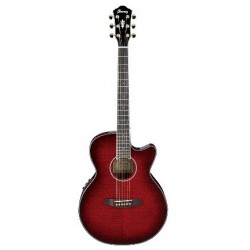 Guitarra Electroacustica Ibanez AEG24II Series