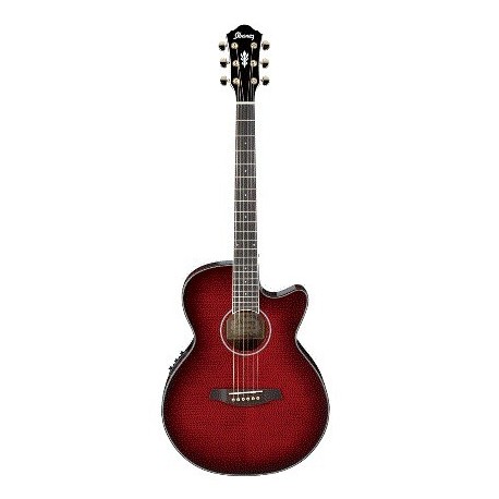 Guitarra Electroacustica Ibanez AEG24II Series - Envío Gratuito
