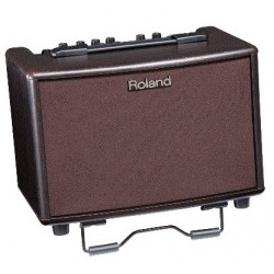 Combo Roland para Guitarra Electroacustica 30W (AC-33RW) - Envío Gratuito