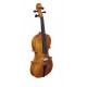 Violin Strunal Stradivarius 4/4 Washed con Arco y Estuche (193WA C) - Envío Gratuito