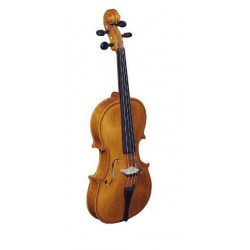 Violin Strunal Stradivarius 4/4 Washed con Arco y Estuche (193WA C)