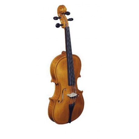 Violin Strunal Stradivarius 4/4 Washed con Arco y Estuche (193WA C) - Envío Gratuito