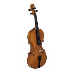 Violin Strunal Stradivarius 4/4 con Arco y Estuche (920B)