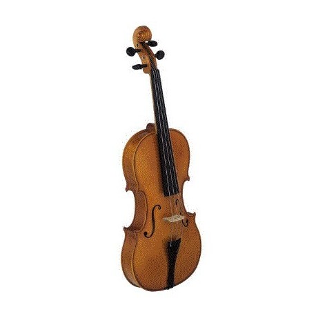 Violin Strunal Stradivarius 4/4 con Arco y Estuche (920B) - Envío Gratuito