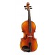 Violin Estudiante Pearl River Natural Brillante con Arco y Estuche Diferentes Tamaños (MV 00) - Envío Gratuito