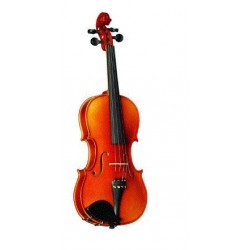 Violin Strunal Stradivarius 4/4 con Arco y Estuche (160B)