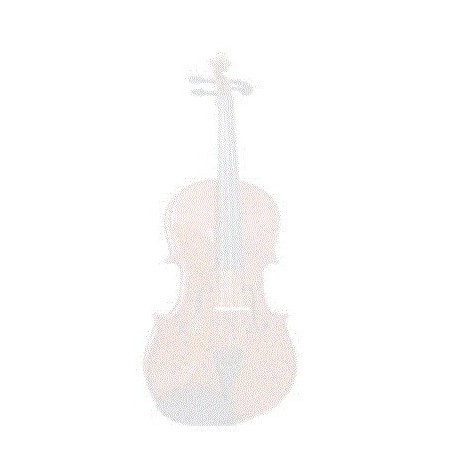 Viola Estudiante Solid Spruce Amadeus Cellini con Arco y Estuche Diferentes Tamaños (AM020) - Envío Gratuito